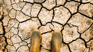 Суша, невиждана от 100 години насам, удари втория най-голям износител на пшеница в ЕС