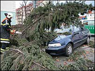 Ураганни ветрове изкорениха над 80 дървета в Киев