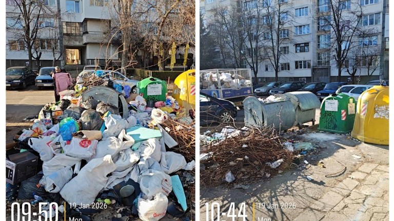 Изображение 748381