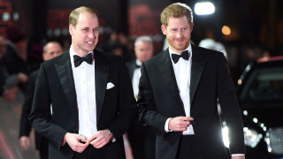 Принцовете Уилям и Хари минаха по червения килим на европейската