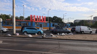 Институтът за пътна безопасност ИПБ разкритикува правителството за поредната черна