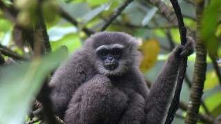 Индийските митнически власти арестуваха пътник на международното летище в Мумбай