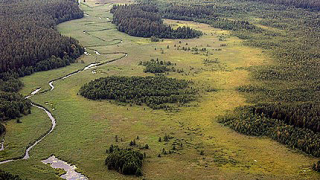 Брюксел забранява път в защитена местност в Полша