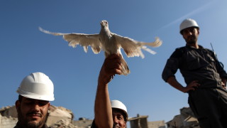 Германия ще приеме близо 50 члена от сирийската неправителствена организация