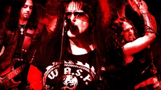 Броим 80 лева за W.A.S.P.