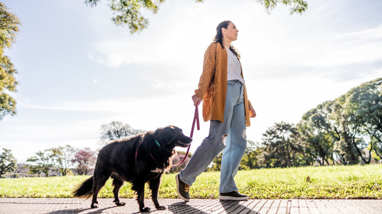 Колко дълга трябва да е ежедневната ни разходка, за да понижим холестерола