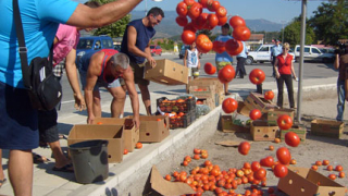 Масови проверки за "маскирани" домати от Гърция 