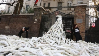 Протестиращи блокираха руското посолство в Лондон заради офанзивата срещу Алепо