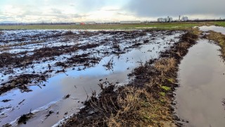 В с. Труд притеснени от странно наторяване в землището