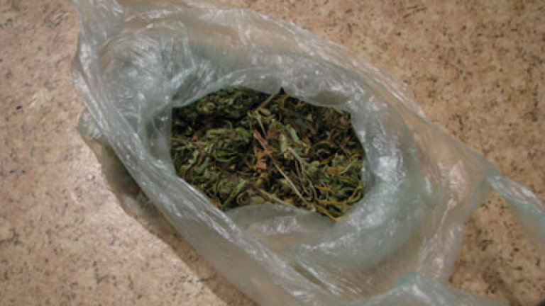 Изображение 80982