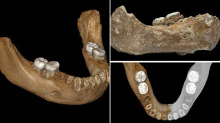Впечатляваща находка хвърля светлина върху мистерията около древния Денисов човек