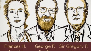 Кралската шведска академия на науките присъди Нобеловата награда за химия