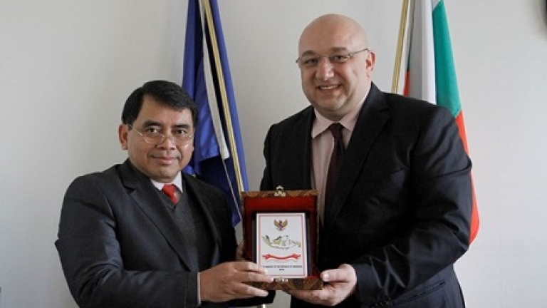 Изображение 181682