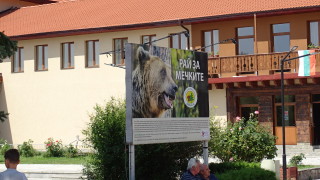 Politico след почивка в България: За ниската ваксинация обвинете бабите