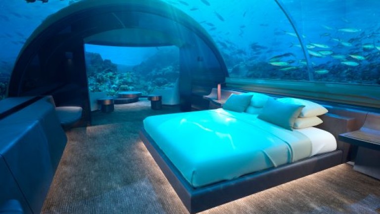 Малдивите са популярни със своите подводни атракции - например спа