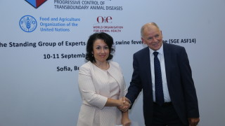 Африканската чума е най сериозният проблем с който съм се сблъсквал