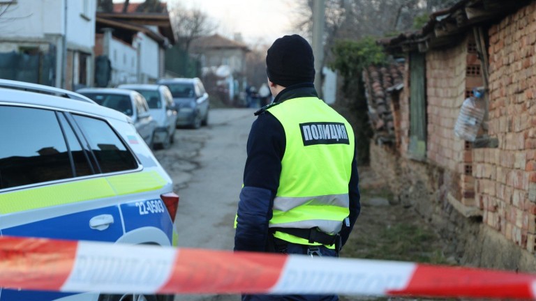 Изображение 702282