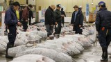 Цената на първия за годината аукцион за риба тон в Токио постави нов рекорд