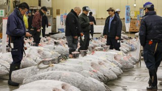 По време на провелия се първи за годината аукцион на