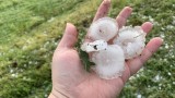 Градушка унищожи напълно насажденията в Севлиевско