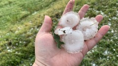 Градушка унищожи напълно насажденията в Севлиевско