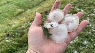 Градушка унищожи напълно насажденията в Севлиевско