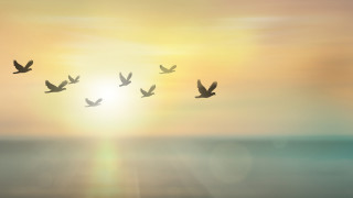 Слънце в неделя