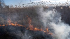 Пожар унищожи 15 декара тръстики в защитена зона Дуранкулашко езеро