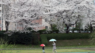 Коефициент на раждаемост в Южна Корея който вече е най ниският