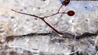 Над по голямата част от страната ще се задържи облачно с