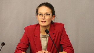 В енергийния микс на страната ни 20 е от ВЕИ