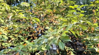 Днес ще бъде предимно слънчево Това съобщават от НИМХ Ще духа слаб