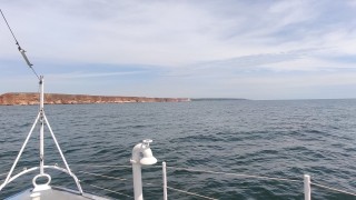 Няма данни за замърсяване от Украйна в българската акватория на