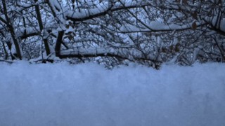 Днес снеговалежите в североизточните райони ще започнат да спират но