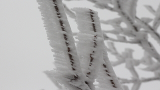 През следващото денонощие ще остане предимно облачно В източната половина