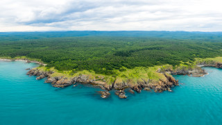 Либийски туроператори и турски представители на сектора от източния черноморски