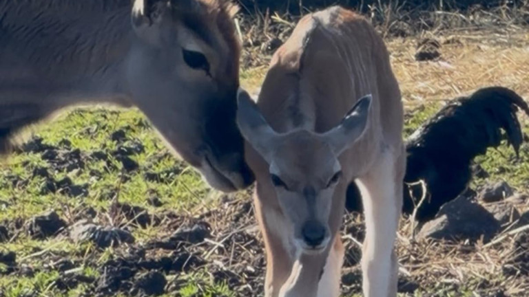 Изображение 754682