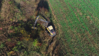 WWF: Около 20% от българската гора е застрашена от сеч