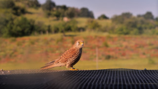 Природата на България е повод за национална гордост с красотата