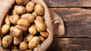 Безопасно ли е да се ядат покълнали картофи