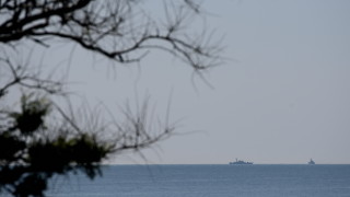 Пробите от откритите мъртви птици в района на Шабла са