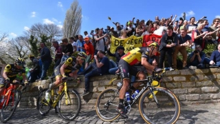 Телевизионна спортна програма за неделя, 8 ноември