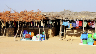 Над 71 милиона души по света живеят в бедност в