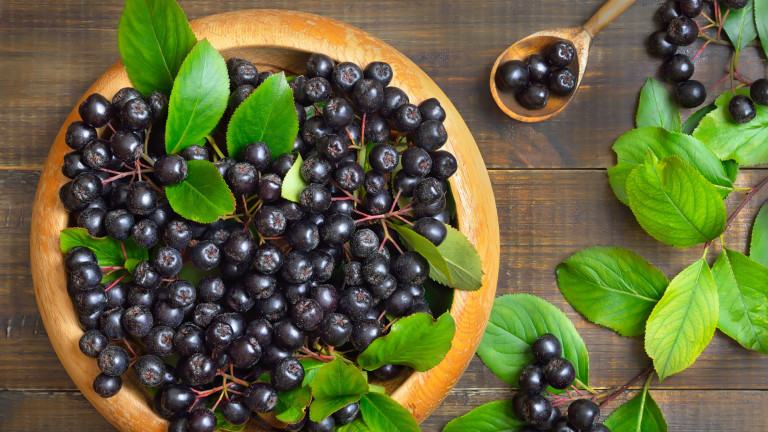 Изображение 747282