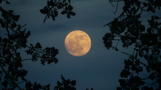 С нетърпение очакваме втория уикенд на месец август който винаги е