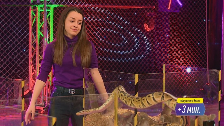 Лепкава слуз, мишки и змии за жените, и злобни тъщи и данъчни за мъжете в “Един за друг”