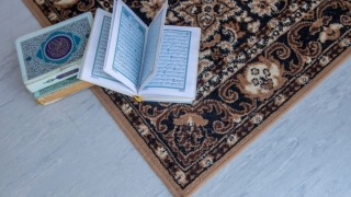 Иран привика шведския посланик заради Корана 