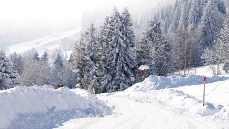 Две деца загинаха при катастрофа с училищен автобус във Франция