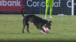 Необичайна ситуация прекъсна мача от Шампионската лига на КОНКАКАФ между Алианца