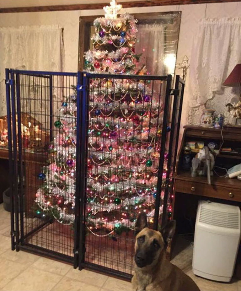 Снимка 269582